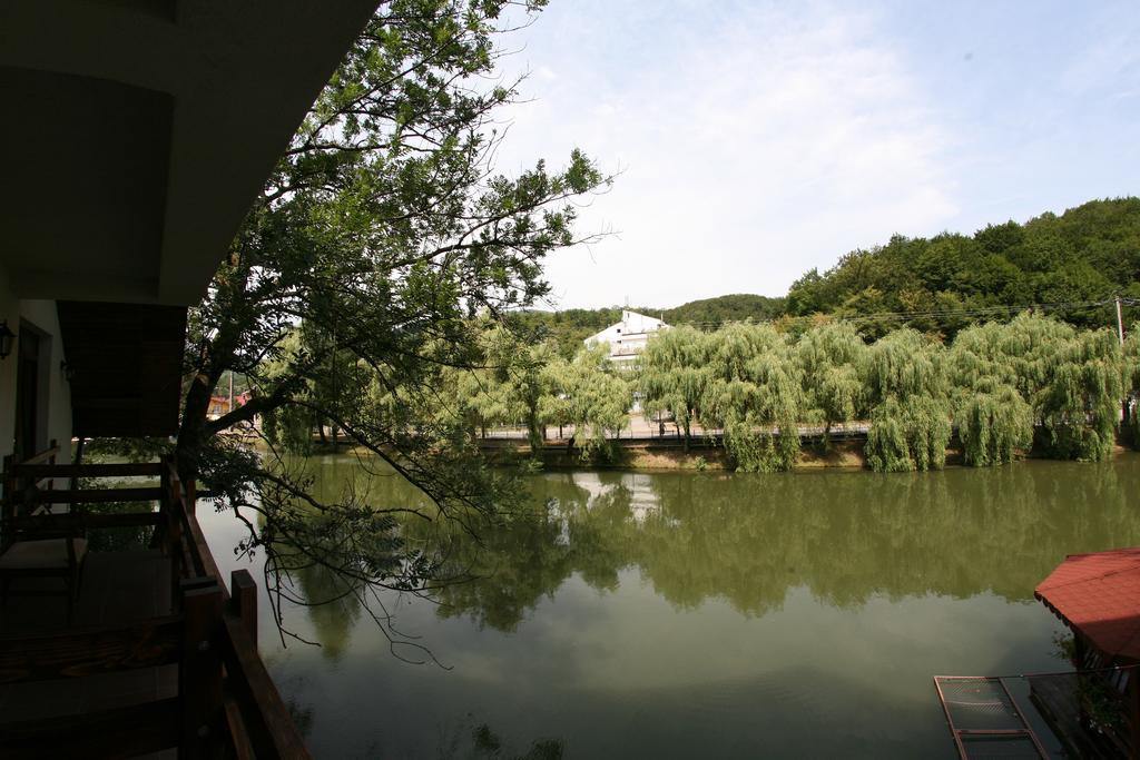 Guest house Lacul Linistit Moneasa Chambre photo